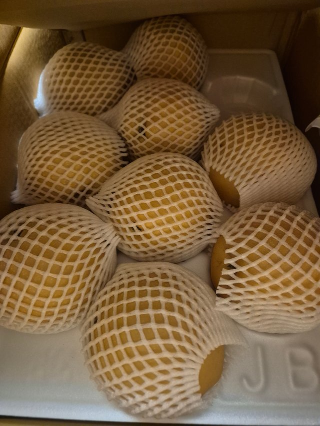 1000033897.jpg