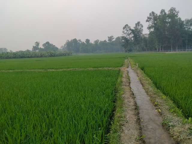 IMG20250326174807.jpg