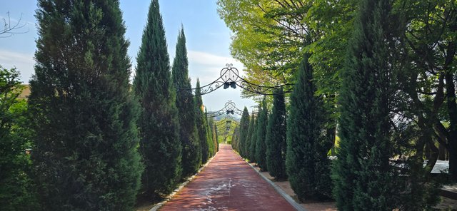 KakaoTalk_20250503_015433814_05.jpg