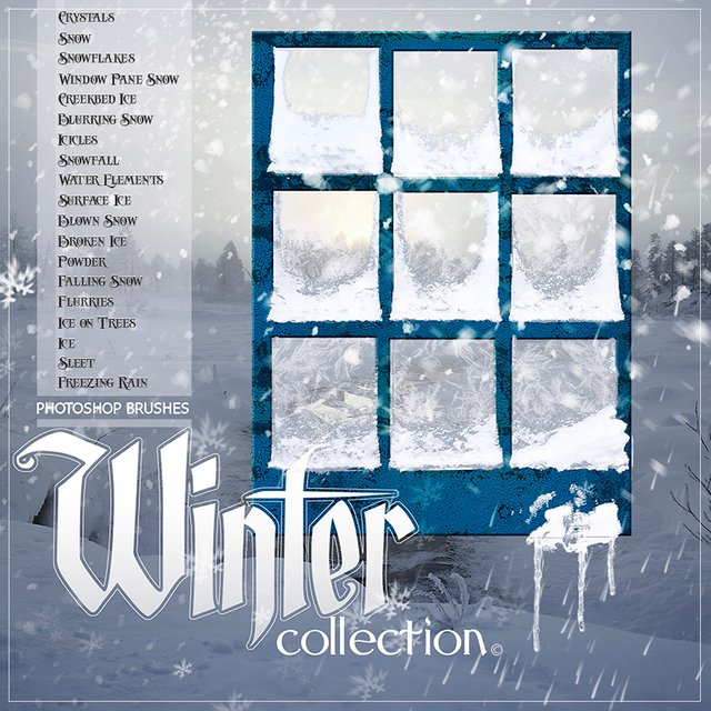 Rons_Winter_Collection_Poster.jpg