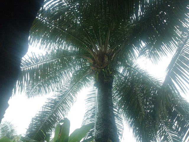 IMG20250727142929.jpg