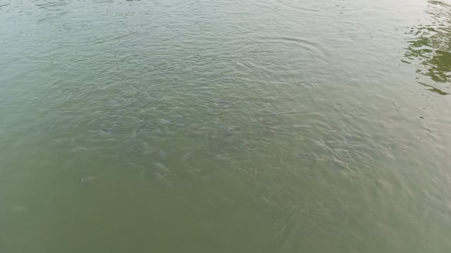 IMG_20231102_170912_3.jpg