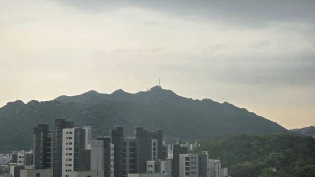 1000122041.jpg