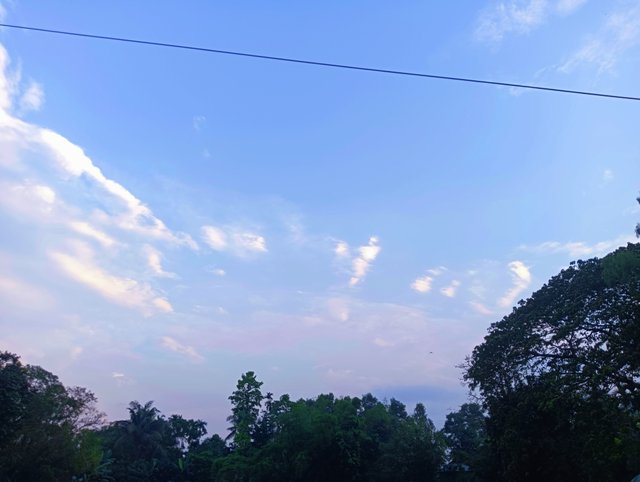 IMG_20250410_180135.jpg