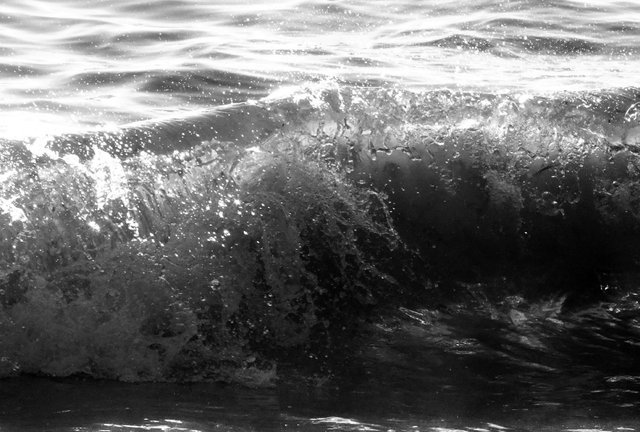 RD0248-WaveBW.jpg