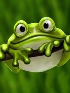 frog-2.jpg