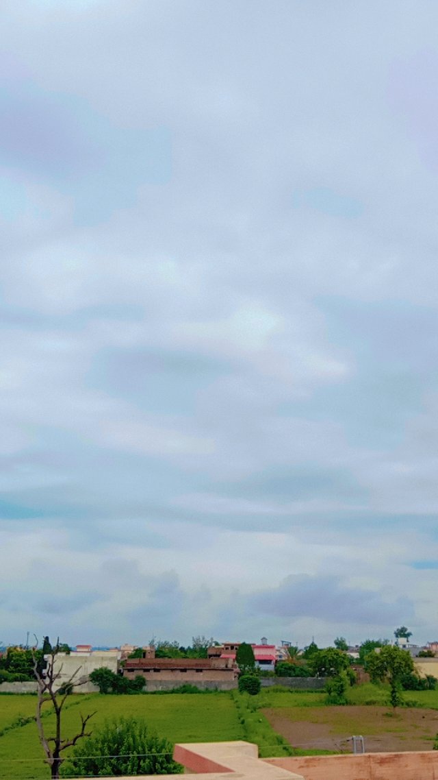 1000470254.jpg