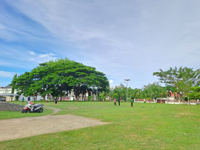 20250609_164838.jpg