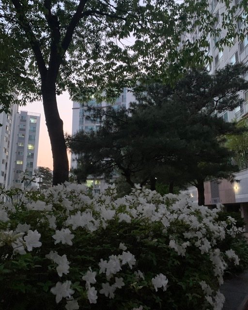 74F39903-E46F-40B7-978A-3853910954A6.jpeg
