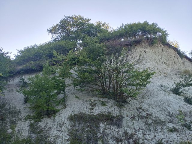 20250802_180935.jpg