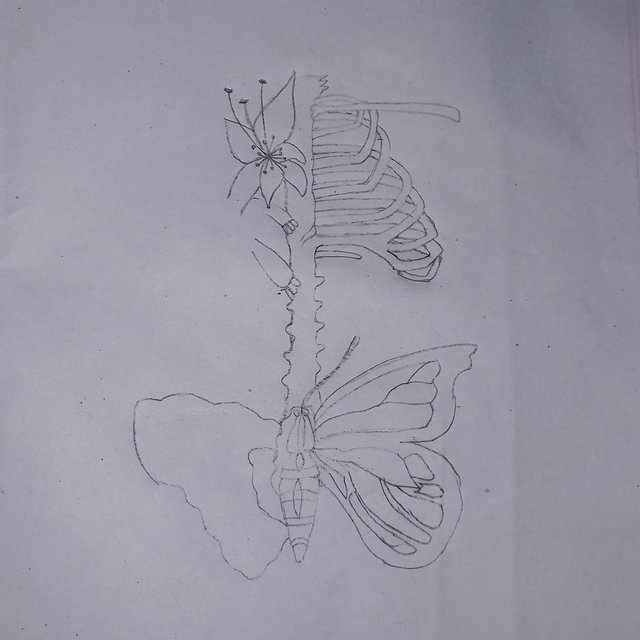 20251004_225255.jpg