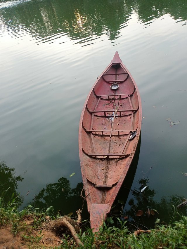 IMG20250909172552.jpg