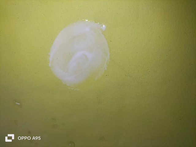 IMG20250604090812.jpg