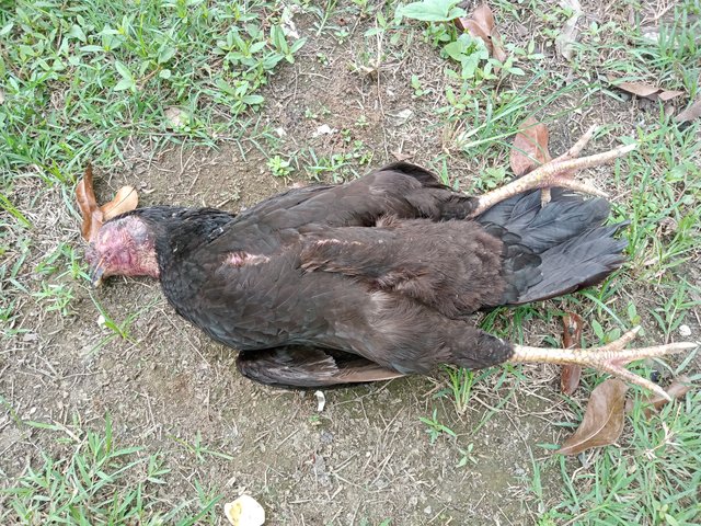 IMG20250409103029.jpg