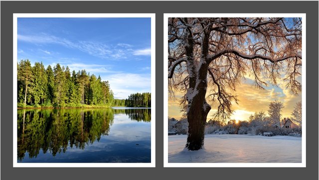 Lake & Snow View.jpg