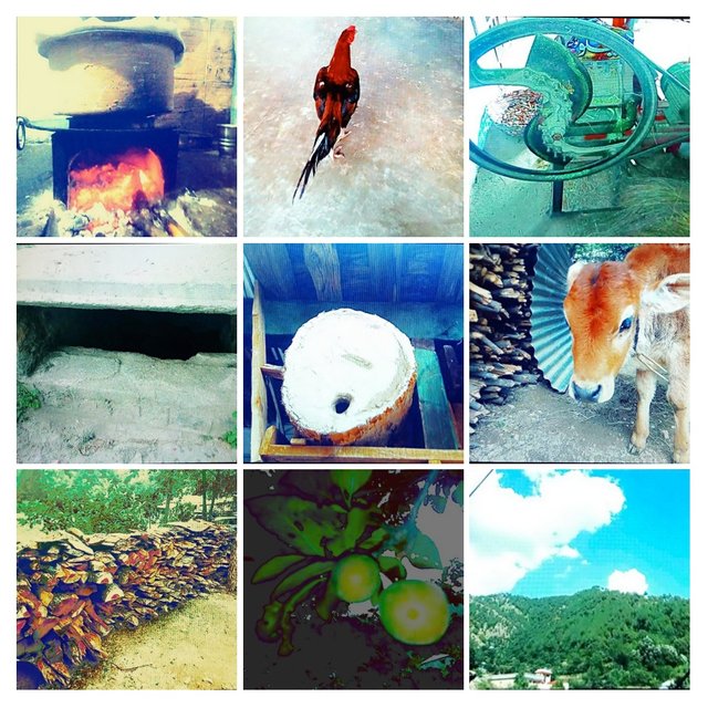 20180826_213648-COLLAGE.jpg