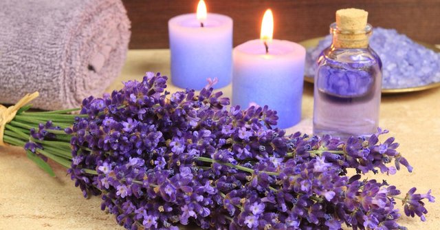 flowers-and-oil-of-lavender.jpg