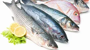 fish-selection-300x196-ss-noexp.jpg