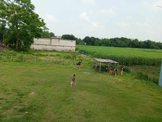 IMG_20250623_132141_023.jpg