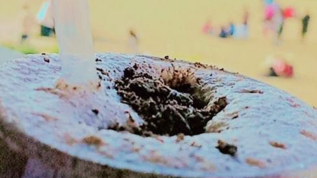 Untitled design (34).png