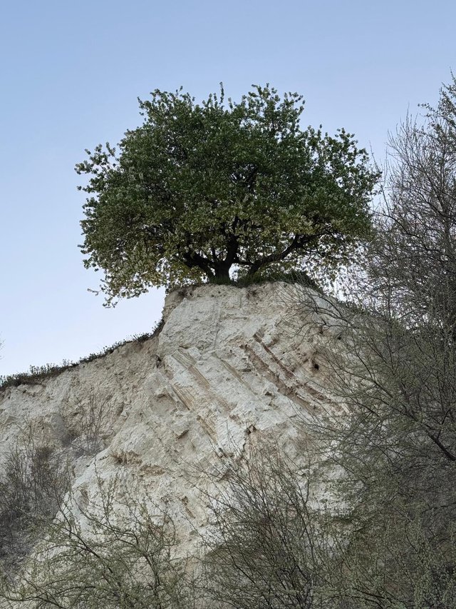 VAOD3368.JPG