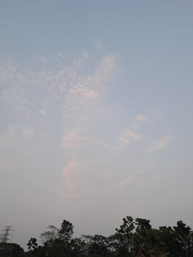 20250403_180359.jpg