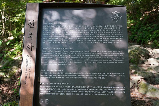 b-DSC08598.JPG