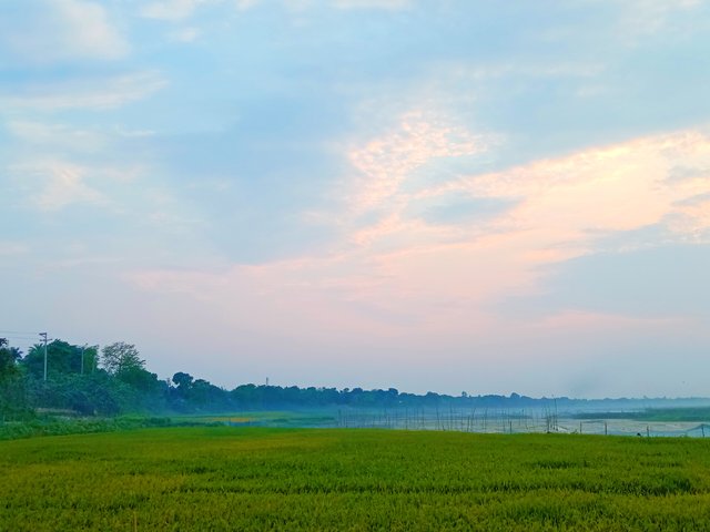 IMG_20250512_192640.jpg
