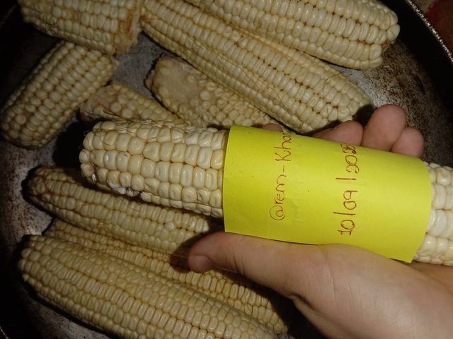 image (22).jpeg