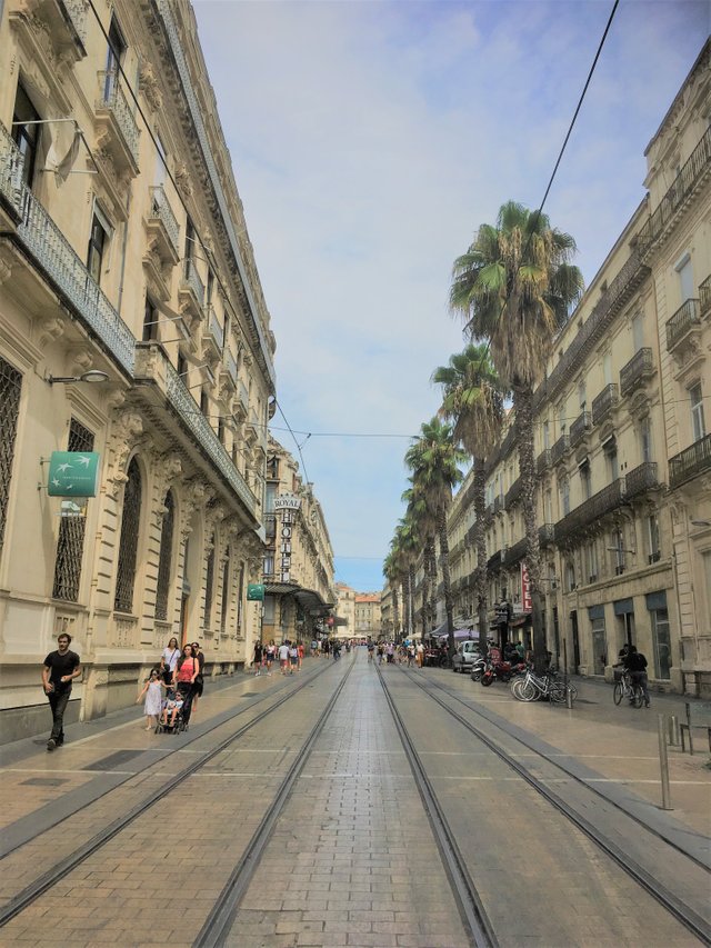 Montpellier (2).jpg
