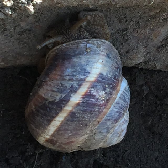 IMG0114.JPG