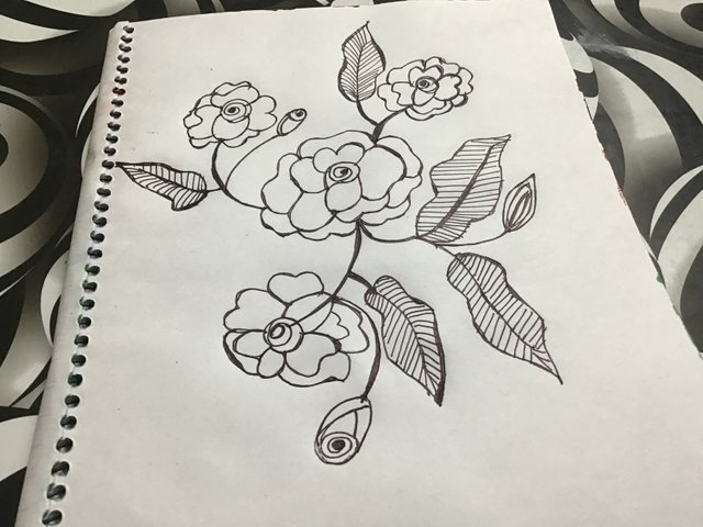 IMG_1291.jpeg