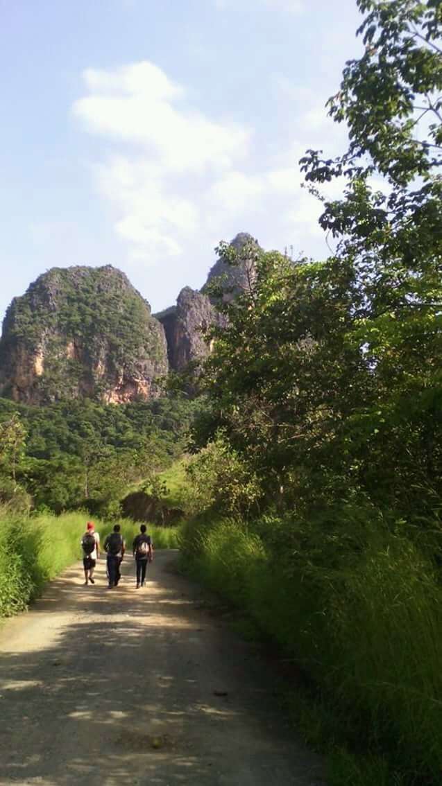 Morro caminando.jpg