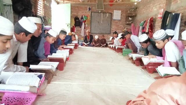 IMG20250305135845.jpg
