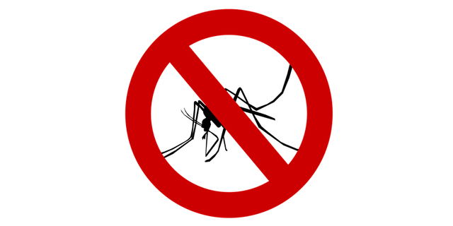 mosquito-1465062_1280.png