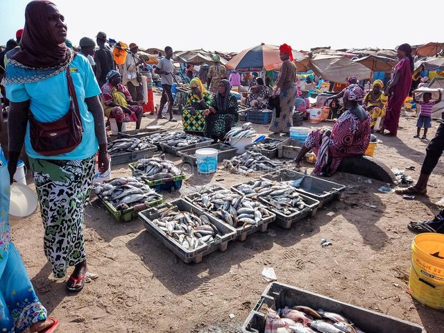 mbour-senegal-april-unidentified-senegalese-men-women-fish-market-port-city-near-dakar-there-stalls-selling-169799967.jpg