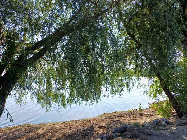 20250810_090528.jpg