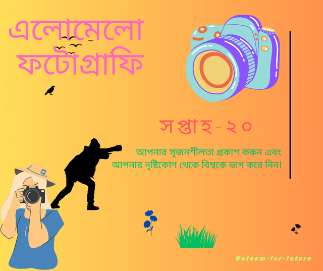 এলোমেলো ফটোগ্রাফি_20251013_065657_0000.png