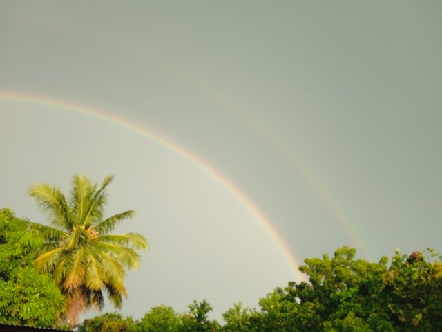 IMG_20251001_065925.jpg