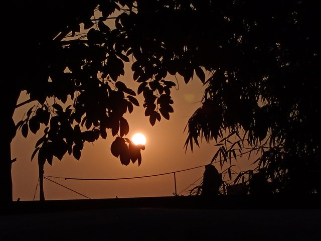 1000097176.jpg