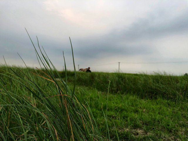 IMG_1974-01.jpeg