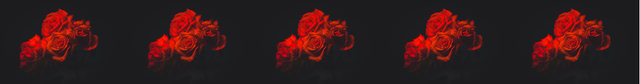 roses.png