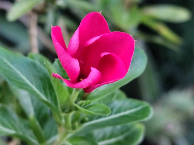 IMG_20250622_181433.jpg