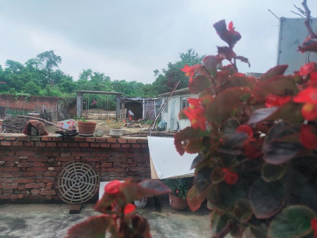 2025-07-2507.40.573887667959179358944.jpg