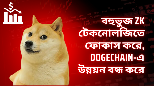 বহুভুজ zk টেকনোলজিতে ফোকাস করে, DogeChain-এ উন্নয়ন বন্ধ করে.png