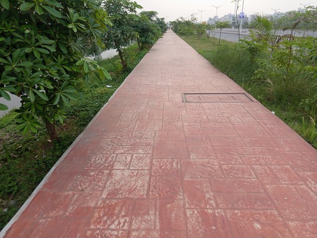 1000007672.jpg