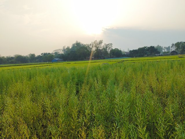 IMG_20250223_170751.jpg