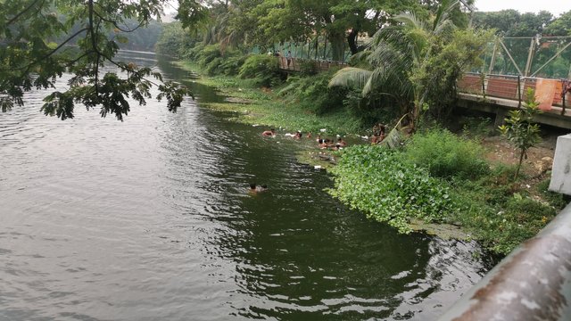 IMG_20240608_162147.jpg