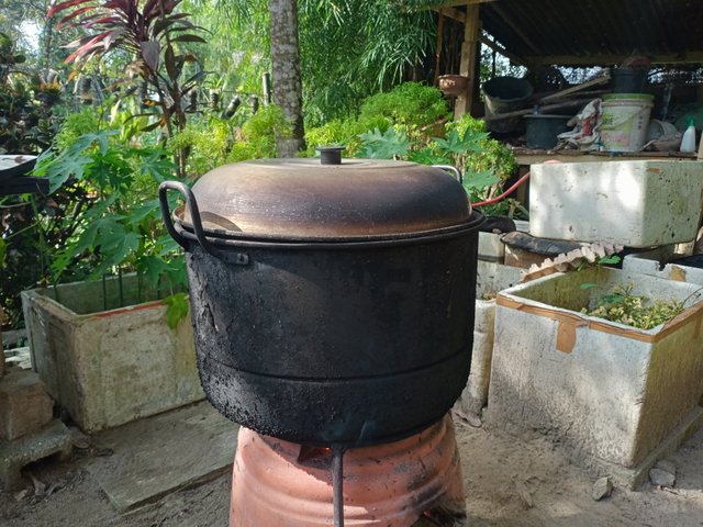 IMG20250727091452.jpg