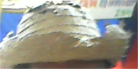 sombrero.png